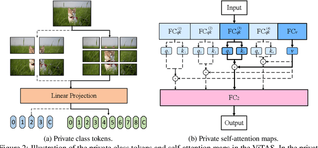 Figure 3 for Vision Transformer Architecture Search