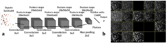 Figure 3 for Deep Learning for Metagenomic Data: using 2D Embeddings and Convolutional Neural Networks