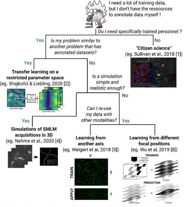 Figure 1 for Free annotated data for deep learning in microscopy? A hitchhiker's guide