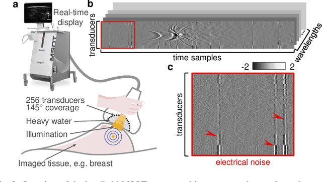 Figure 2 for Deep learning based electrical noise removal enables high spectral optoacoustic contrast in deep tissue