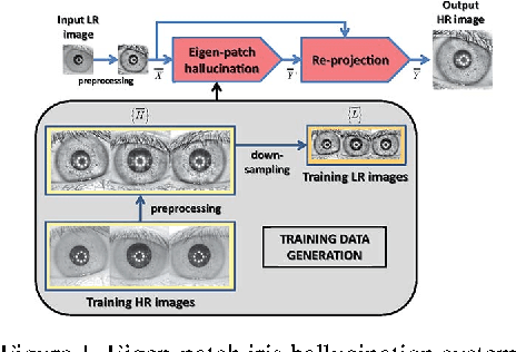 Figure 1 for Very Low-Resolution Iris Recognition Via Eigen-Patch Super-Resolution and Matcher Fusion