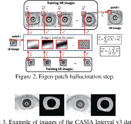 Figure 2 for Very Low-Resolution Iris Recognition Via Eigen-Patch Super-Resolution and Matcher Fusion