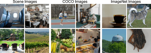 Figure 1 for BOLD5000: A public fMRI dataset of 5000 images