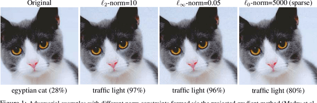 Figure 1 for Are adversarial examples inevitable?