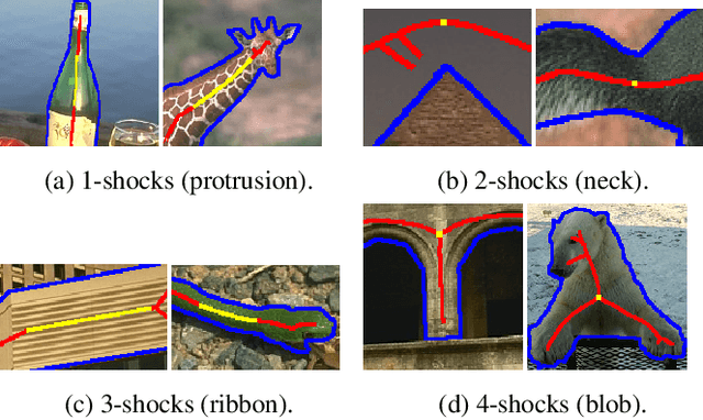 Figure 3 for Appearance Shock Grammar for Fast Medial Axis Extraction from Real Images