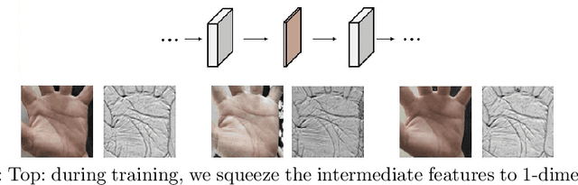 Figure 1 for Geometric Synthesis: A Free lunch for Large-scale Palmprint Recognition Model Pretraining