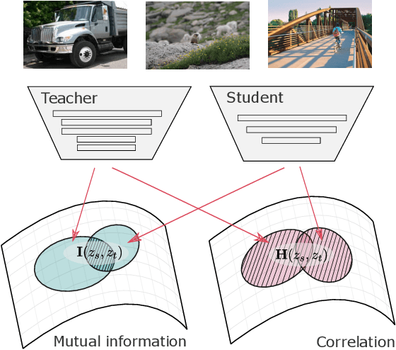 Figure 1 for Information Theoretic Representation Distillation