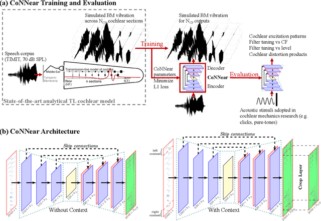 Figure 1 for A convolutional neural-network model of human cochlear mechanics and filter tuning for real-time applications
