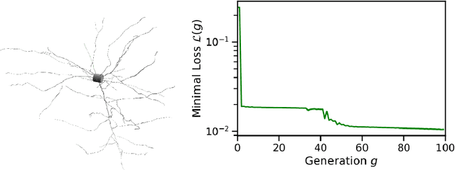 Figure 4 for Exploring hyper-parameter spaces of neuroscience models on high performance computers with Learning to Learn
