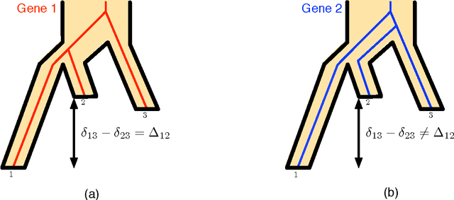 Figure 3 for Coalescent-based species tree estimation: a stochastic Farris transform