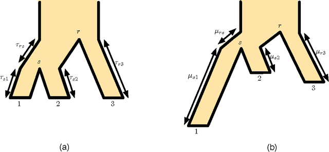 Figure 1 for Coalescent-based species tree estimation: a stochastic Farris transform