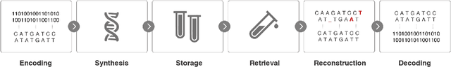 Figure 1 for Single-Read Reconstruction for DNA Data Storage Using Transformers