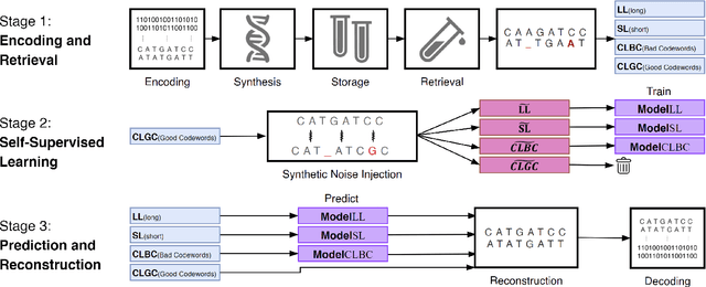 Figure 4 for Single-Read Reconstruction for DNA Data Storage Using Transformers