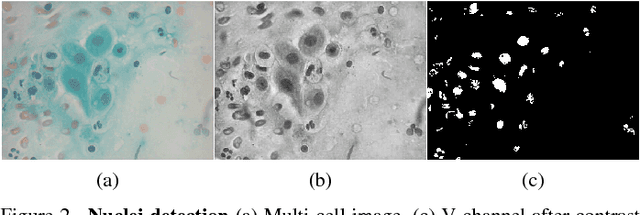 Figure 3 for Considerations for a PAP Smear Image Analysis System with CNN Features