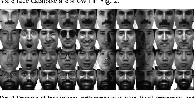 Figure 2 for ECOC-Based Training of Neural Networks for Face Recognition