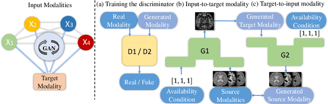 Figure 1 for DiamondGAN: Unified Multi-Modal Generative Adversarial Networks for MRI Sequences Synthesis