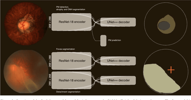 Figure 1 for Pathological myopia classification with simultaneous lesion segmentation using deep learning