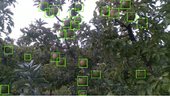 Figure 2 for System Design and Control of an Apple Harvesting Robot