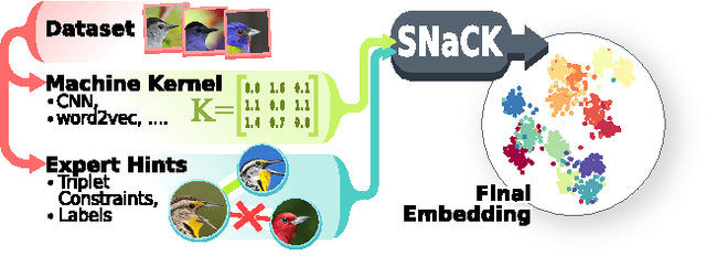 Figure 2 for Learning Concept Embeddings with Combined Human-Machine Expertise