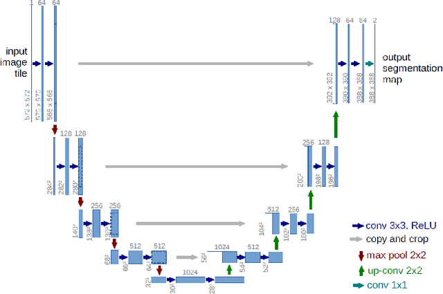 Figure 3 for COVID TV-UNet: Segmenting COVID-19 Chest CT Images Using Connectivity Imposed U-Net