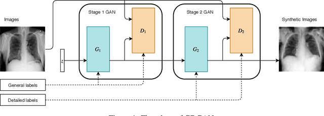 Figure 1 for General-to-Detailed GAN for Infrequent Class Medical Images