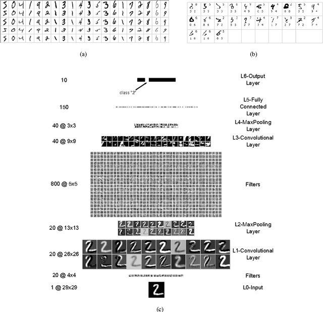 Figure 3 for Multi-column Deep Neural Networks for Image Classification