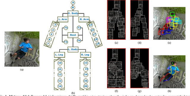 Figure 2 for Occlusion-Aware Human Pose Estimation with Mixtures of Sub-Trees