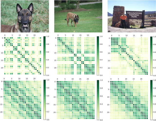 Figure 1 for Revisiting Deep Local Descriptor for Improved Few-Shot Classification