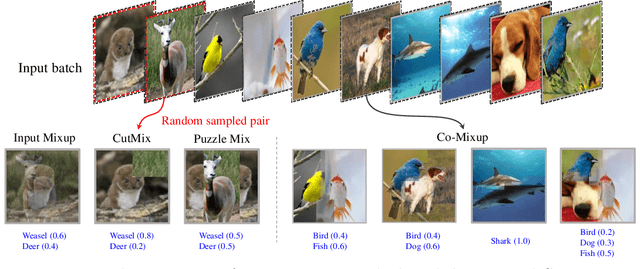 Figure 1 for Co-Mixup: Saliency Guided Joint Mixup with Supermodular Diversity