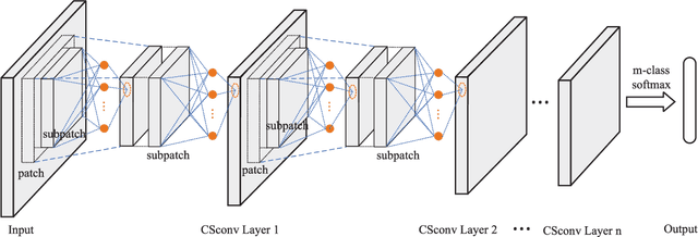 Figure 4 for Cascaded Subpatch Networks for Effective CNNs