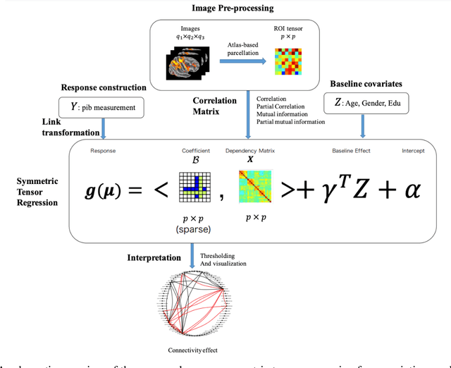 Figure 1 for Sparse Symmetric Tensor Regression for Functional Connectivity Analysis