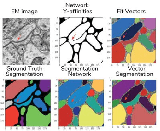 Figure 4 for Learning Metric Graphs for Neuron Segmentation In Electron Microscopy Images