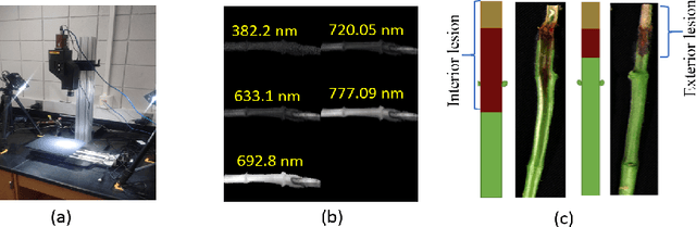 Figure 1 for Explaining hyperspectral imaging based plant disease identification: 3D CNN and saliency maps