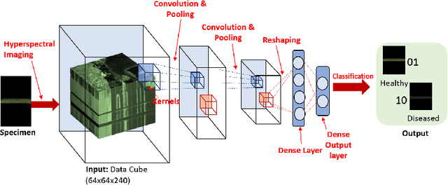 Figure 2 for Explaining hyperspectral imaging based plant disease identification: 3D CNN and saliency maps