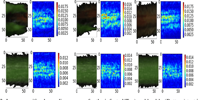 Figure 3 for Explaining hyperspectral imaging based plant disease identification: 3D CNN and saliency maps