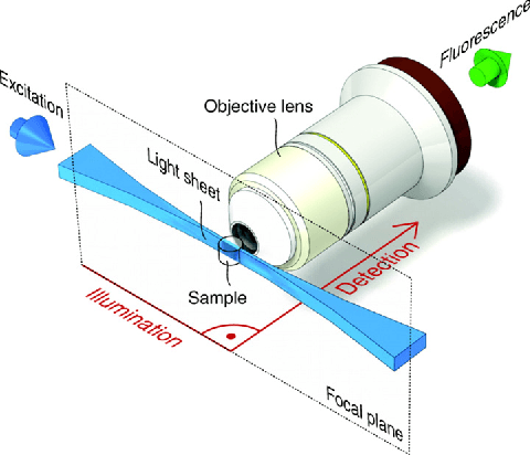 Figure 1 for New Methods to Improve Large-Scale Microscopy Image Analysis with Prior Knowledge and Uncertainty