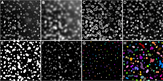 Figure 4 for New Methods to Improve Large-Scale Microscopy Image Analysis with Prior Knowledge and Uncertainty