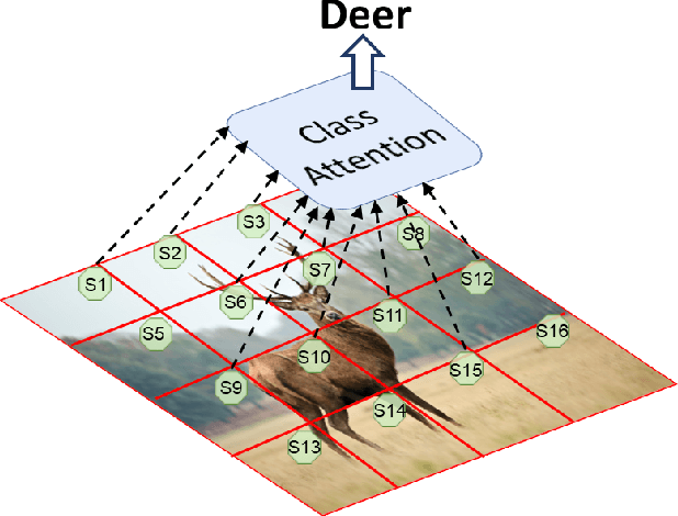 Figure 1 for Global Interaction Modelling in Vision Transformer via Super Tokens