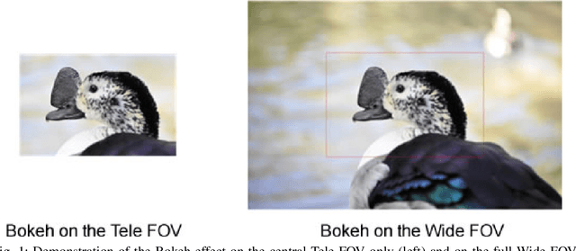 Figure 1 for TW-SMNet: Deep Multitask Learning of Tele-Wide Stereo Matching