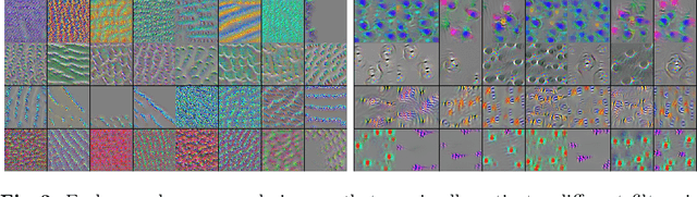 Figure 3 for A Closer Look at Domain Shift for Deep Learning in Histopathology