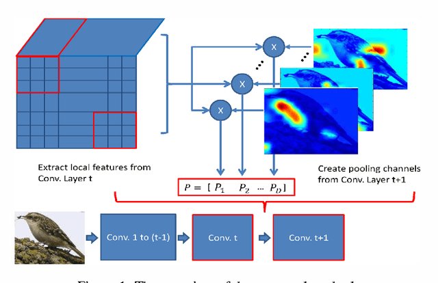 Figure 1 for The Treasure beneath Convolutional Layers: Cross-convolutional-layer Pooling for Image Classification