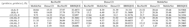 Figure 4 for Bias Field Poses a Threat to DNN-based X-Ray Recognition