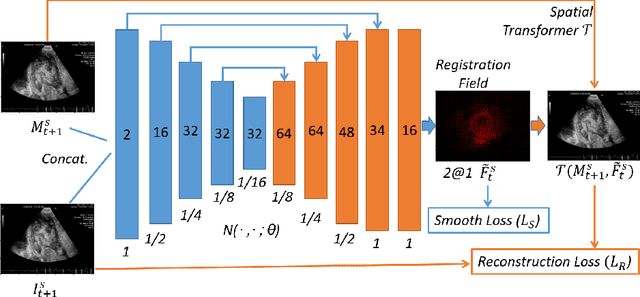 Figure 1 for Neural Multi-Scale Self-Supervised Registration for Echocardiogram Dense Tracking