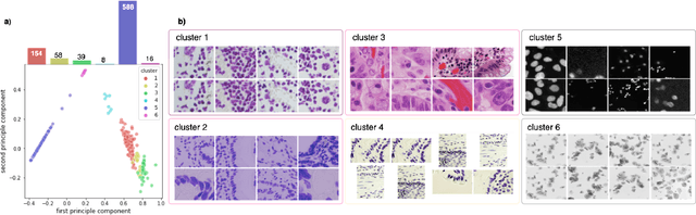 Figure 3 for Multi-Modality Microscopy Image Style Transfer for Nuclei Segmentation