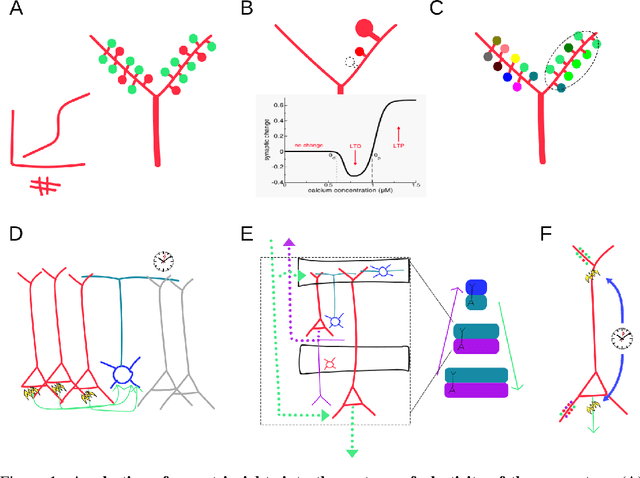 Figure 1 for Neocortical plasticity: an unsupervised cake but no free lunch