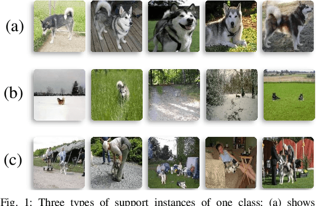 Figure 1 for Not All Instances Contribute Equally: Instance-adaptive Class Representation Learning for Few-Shot Visual Recognition