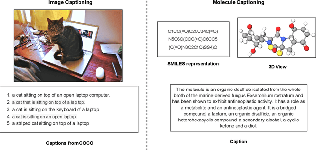 Figure 3 for Translation between Molecules and Natural Language