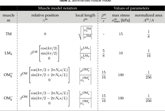 Figure 4 for Energy Shaping Control of a Muscular Octopus Arm Moving in Three Dimensions