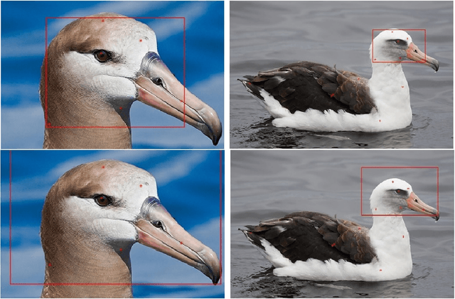 Figure 3 for Fine-grained visual recognition with salient feature detection