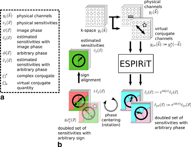 Figure 1 for Estimating Absolute-Phase Maps Using ESPIRiT and Virtual Conjugate Coils
